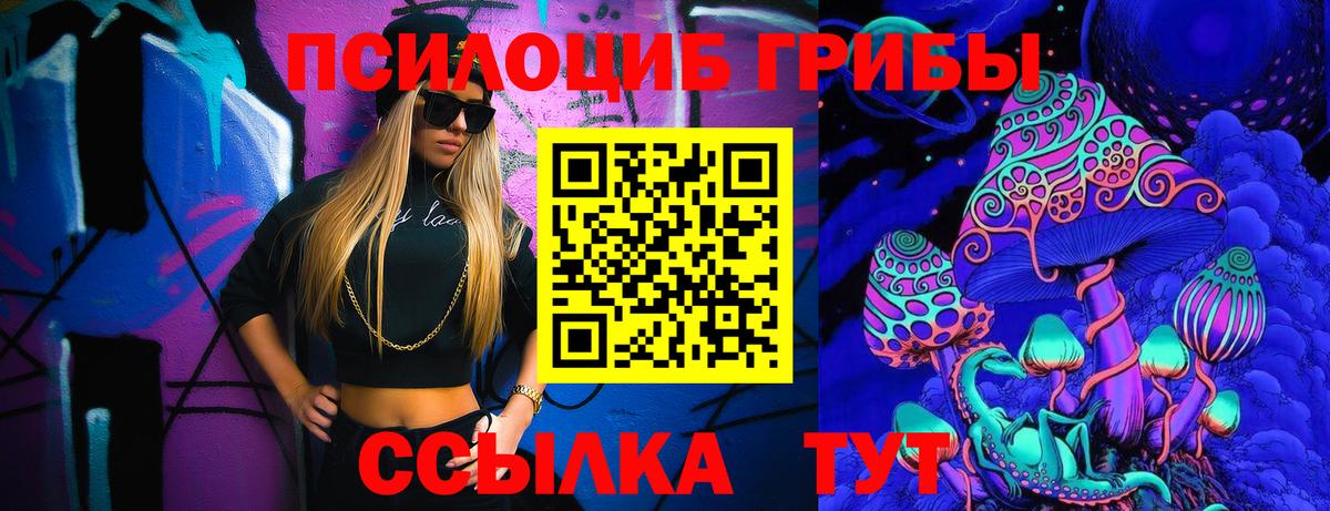 Псилоцибиновые грибы GOLDEN TEACHER Кубинка