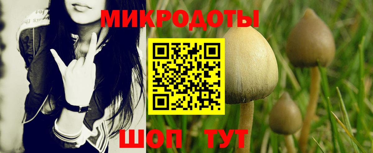 где найти   Псилоцибиновые грибы Psilocybe  Вход с VPN  Кубинка 